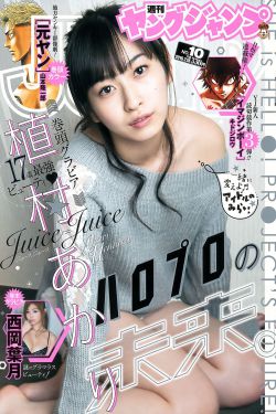 纳爱斯新董事长